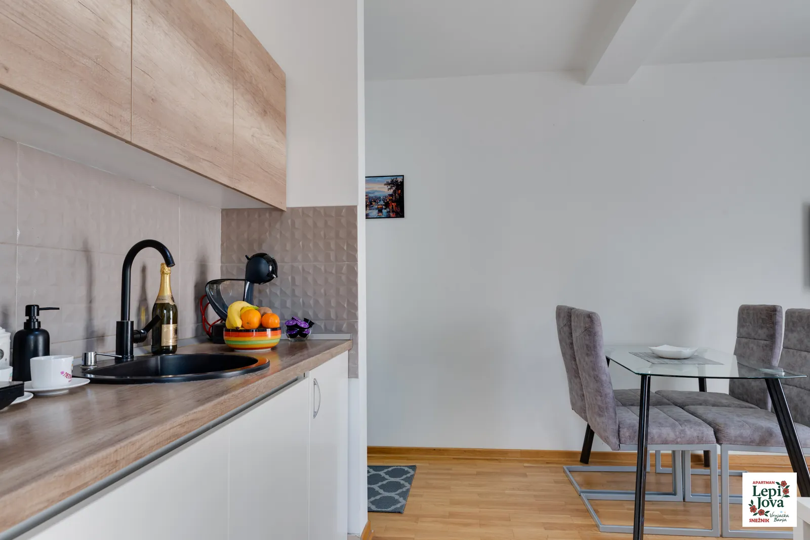 Sudopera i radna površina u kuhinji apartmana Snežnik